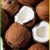 Coconut-Texture-Photography-for-Ecodenta.jpg